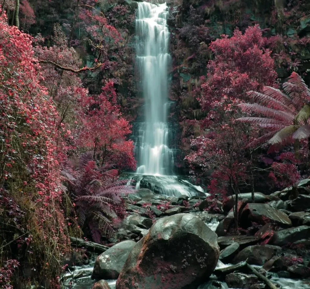 Erskine Falls