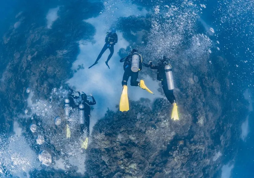 Family-Friendly Activities Around Ningaloo Reef