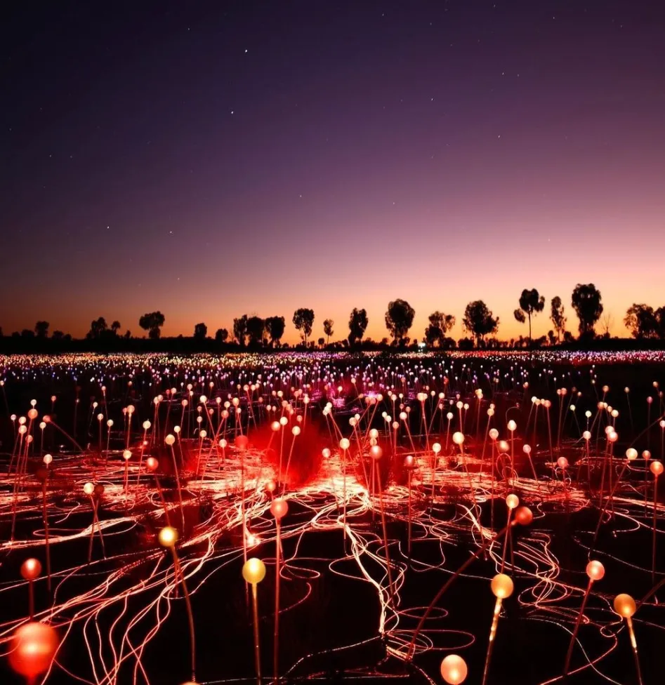 illuminates Uluru