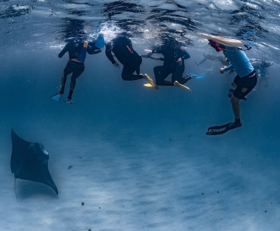 Ningaloo Reef and What It’s Famous For