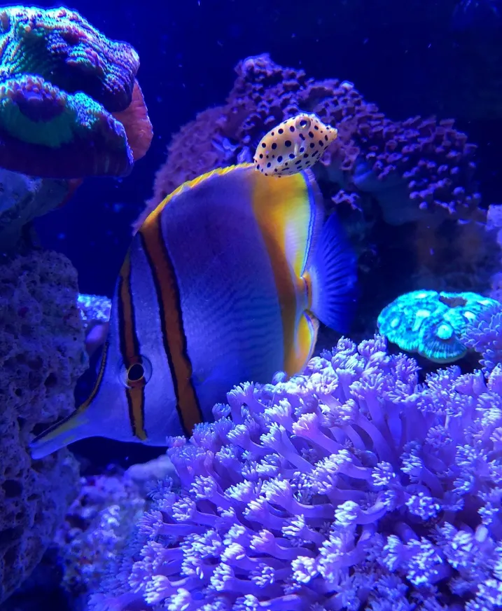 Ningaloo Visitor Centre and Aquarium