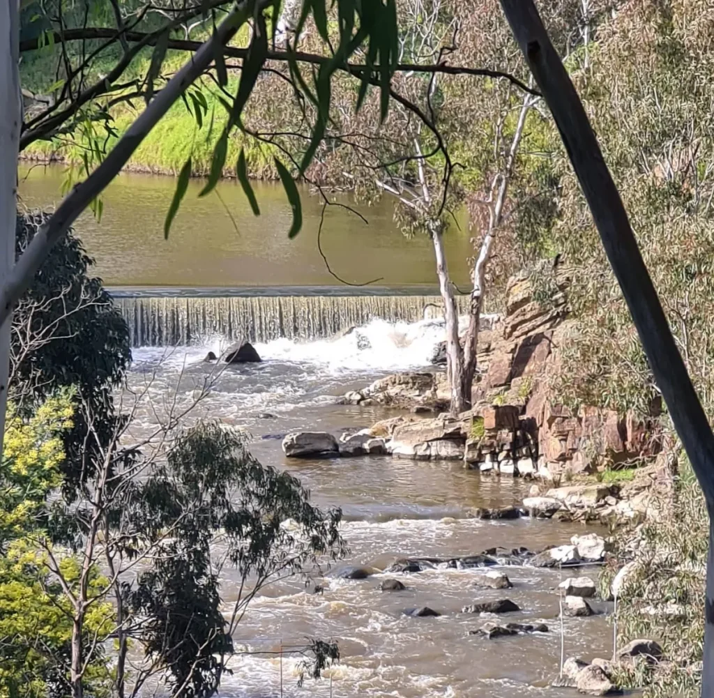 Dights Falls