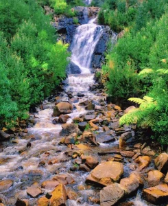 Discovering Yarra Valley’s Waterfalls