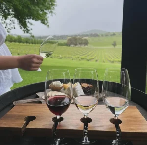 Gourmet Cheese and Wine Pairing Experiences in Yarra Valley